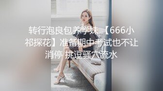 STP21008 极品美乳 小姐姐身材一级棒 沙发茶几椅子玩出新花样 各种姿势角度眼花缭乱