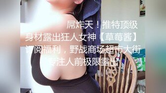 ⚫️⚫️重磅稀缺猎奇资源！推特39万粉究极反差婊！大奶大肚孕妇【雪莉】付费私拍，各种露出啪啪，孩子出生前赚足了奶粉钱