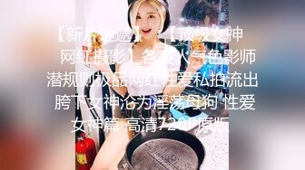 [140228][鈴木みら乃]ヤバい！-復讐・闇サイト- いじめ速報、燃料投下！？ ネット民に問う。妹殺しはこの牝豚3人の中に…… 編