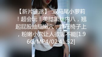 看想升职小蕾丝如何拿下假日本客户