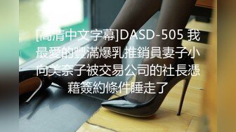 [高清中文字幕]DASD-505 我最愛的豐滿爆乳推銷員妻子小向美奈子被交易公司的社長憑藉簽約條件睡走了