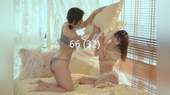 66 (32)