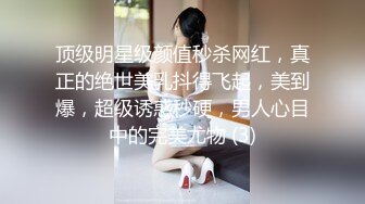 私人訂制 女神綺里嘉 江浙滬旅拍 和王總的談項目主題系列