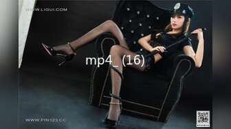 mp4_ (16)