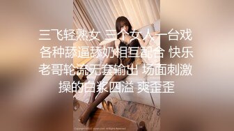 《极品反差✿淫妻泄密》推特火爆淫荡翘臀骚母狗【芬姬夏妓】不雅私拍全集，公园露出调教野战潮喷大号道具紫薇淫水泛滥