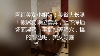 情趣房女仆炮友3