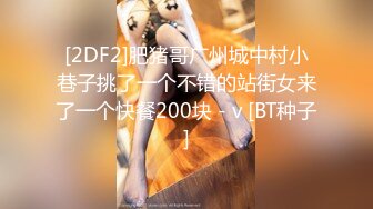 [2DF2]肥猪哥广州城中村小巷子挑了一个不错的站街女来了一个快餐200块 - v [BT种子]