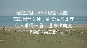 南航空姐，4500魔都大圈，高跟黑丝女神，甜美温柔此等佳人难得一遇，超清4K角度偷窥，第二部