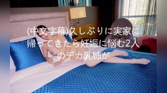 (中文字幕)久しぶりに実家に帰ってきたら妊娠に悩む2人のデカ乳姉が