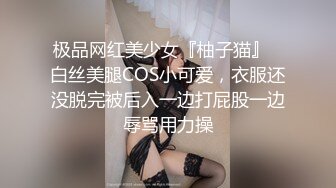 开档白内白丝