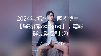 2024年新流出，國產博主，【絲襪貓Stocking】，電報群完整福利 (2)